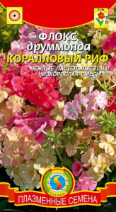 Флокс друммонда Коралловый риф низкорослая смесь  купить