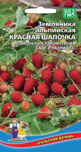 Земляника Красная шапочка альпийская купить