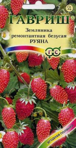 Земляника Руяна ремонтантная безусая купить