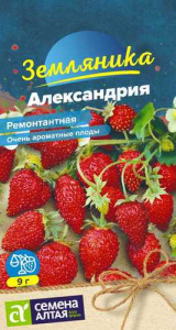 Земляника Александрия