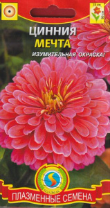 Цинния Мечта  купить