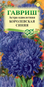 Астра Королевская синяя пионовидная купить