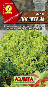 Салат Волшебник  купить