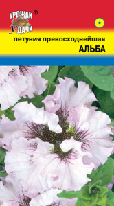 Петуния Альба  купить
