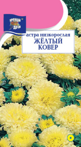 Астра Ковер Желтый низкорослая  купить