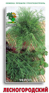Укроп Лесногородский купить