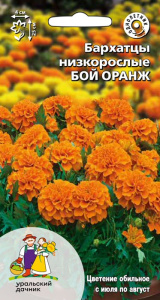 Бархатцы низкорослые Бой оранж купить