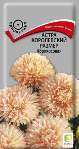 Астра королевский размер Абрикосовая купить