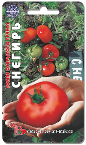 Томат Снегирь  купить