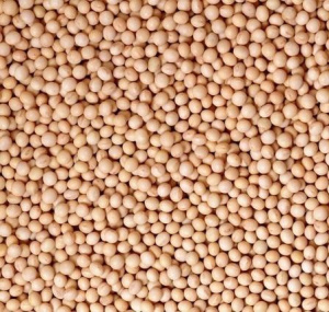 Горох посевной 1кг купить