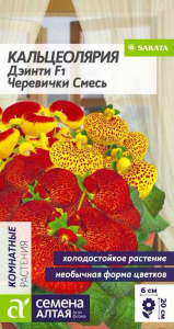Кальцеолярия Дэинти Черевички смесь   купить