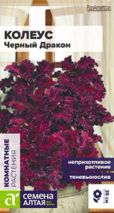 Колеус Черный Дракон  купить