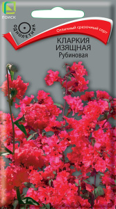 Кларкия Рубиновая изящная купить