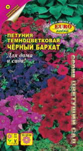 Петуния Черный бархат, смесь окрасок  купить