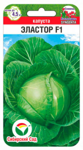 Капуста Эластор F1 купить