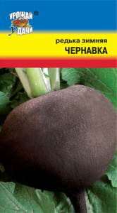 Редька Чернавка купить