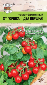 Томат ОТ ГОРШКА- ДВА ВЕРШКА! балкон купить