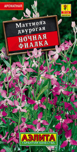 Маттиола Ночная фиалка  купить