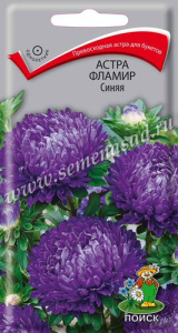 Астра Фламир Синяя купить