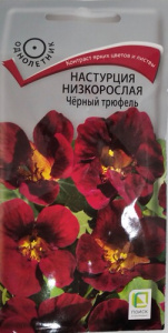Настурция низкорослая Черный трюфель купить