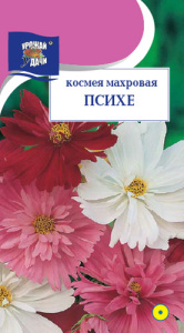 Космея Психе махровая  купить