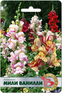 Антирринум Мили Ванилли купить