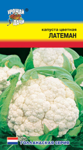 Капуста (цветная) Латеман  купить