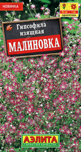 Гипсофила изящная Малиновка купить