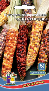 Кукуруза декоративная Чудо природы купить