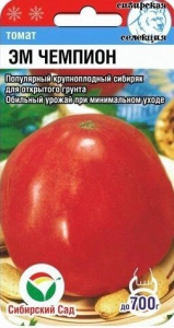 Томат Эм Чемпион  купить
