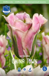 Тюльпан Чайна Таун /10шт купить