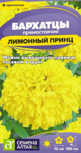 Бархатцы Лимонный принц купить