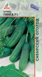 Огурец Гинга 10шт купить