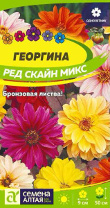 Георгина Ред Скайн Микс  купить