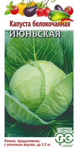 Капуста Июньская  купить