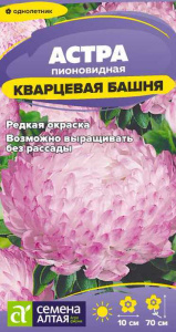 Астра Кварцевая Башня купить