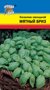 Базилик Мятный бриз  купить