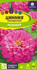 Цинния Розовая Низкорослая купить