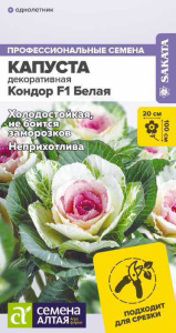 Капуста декоративная Кондор F1 Белая купить
