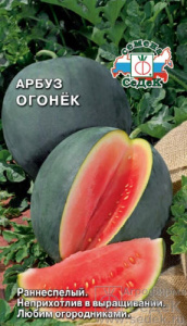 Арбуз Огонек  купить