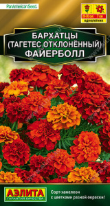 Бархатцы Файерболл отклоненные Золотая серия купить