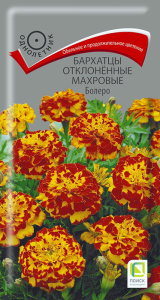 Бархатцы Болеро откл. махр. купить