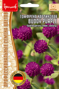 Гомфрена Buddy Purple карликовая   купить