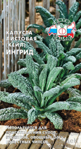 Капуста (листовая) Ингрид  купить