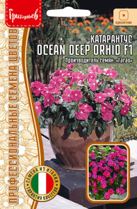 Катарантус Ocean Deep Orhid купить