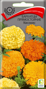 Бархатцы Максимикс прямостоячие купить