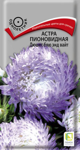 Астра Дюшес блю энд вайт пионовидная купить