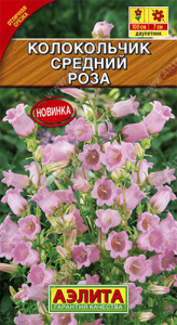 Колокольчик Роза  купить