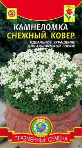 Камнеломка Снежный ковер  купить