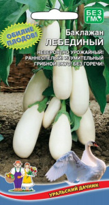 Баклажан Лебединный  купить
